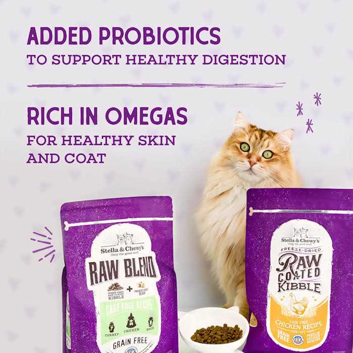 Stella & Chewy’s Raw Coated Kibble Cage Free Recipe Dry Cat Food