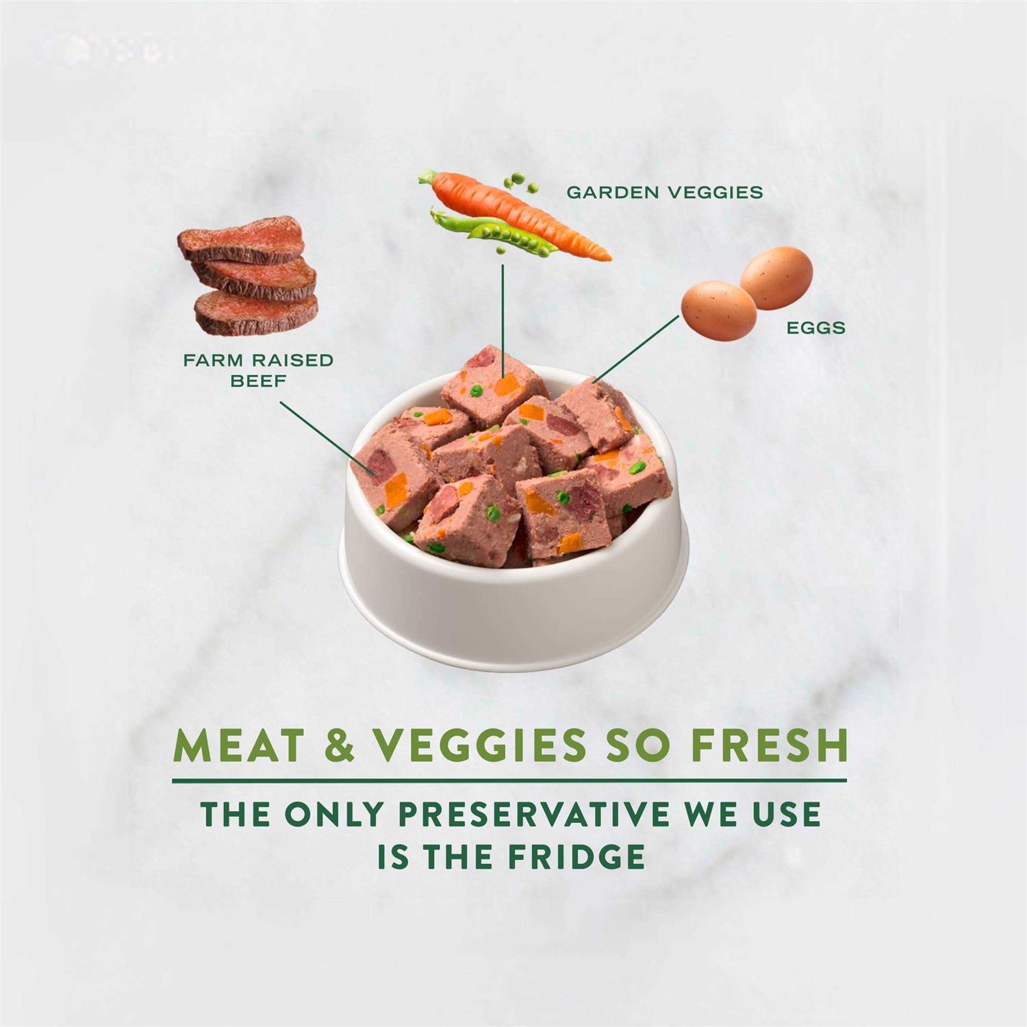 Freshpet Dog Food Chunky Beef Recipe