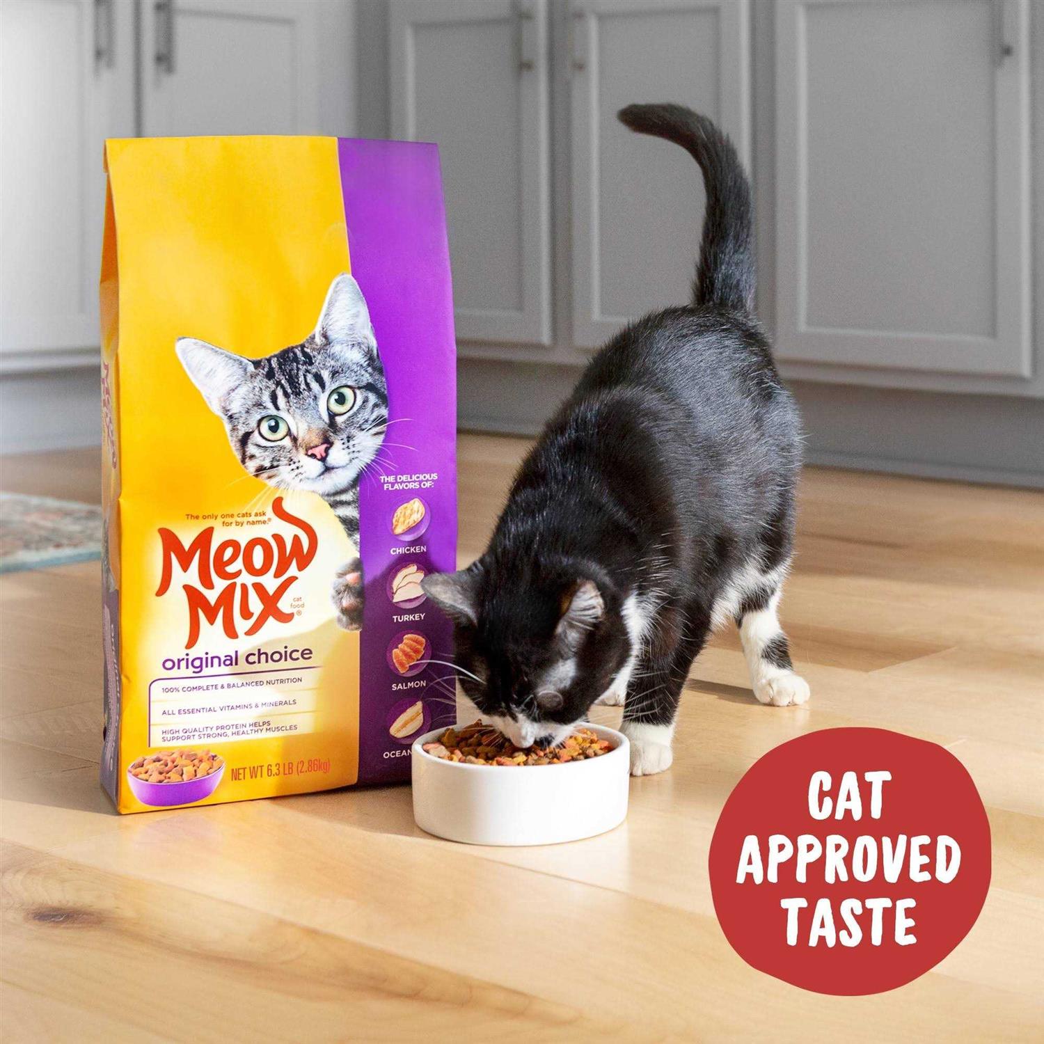 Meow Mix Original Choice Dry Cat Food