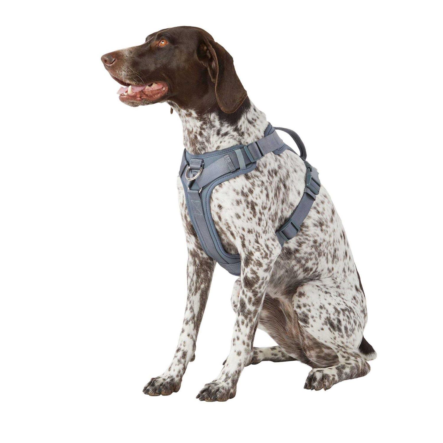 Top Paw Core Fashion Adjustable Comfort Dog Harness