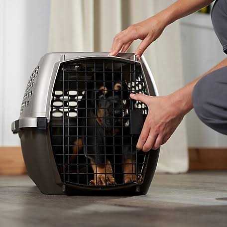 Retriever Pet Carrier Medium Gray SKU