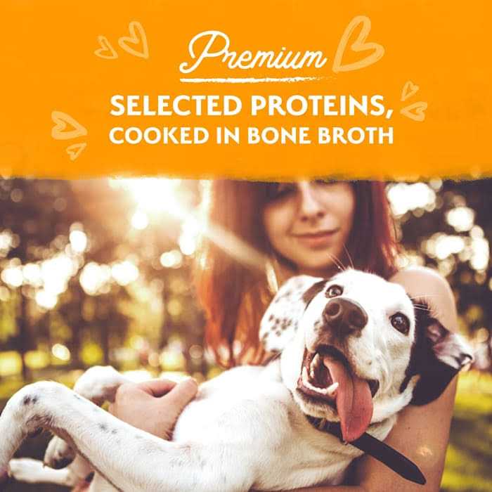 Natural Balance Limited Ingredient Stew Wet Dog Food