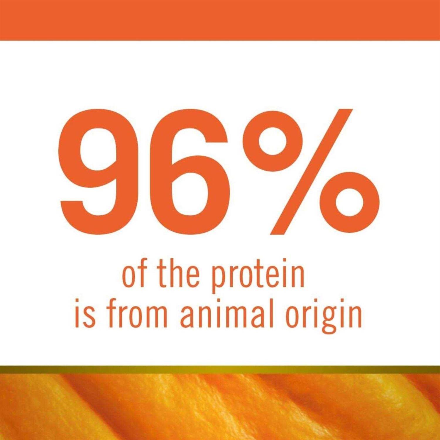 Farmina N&D Pumpkin Lamb & Blueberry Mini Dog Dry Food