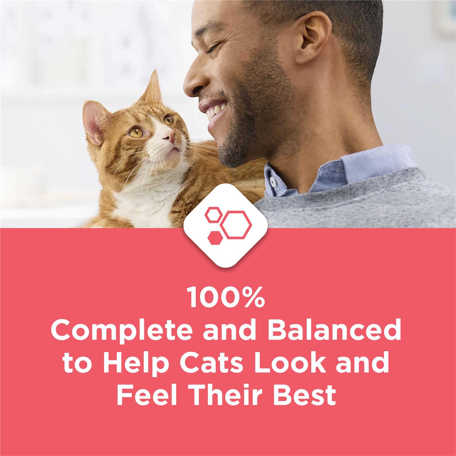 Purina Cat Chow Complete with Salmon High Protein Dry Cat Food