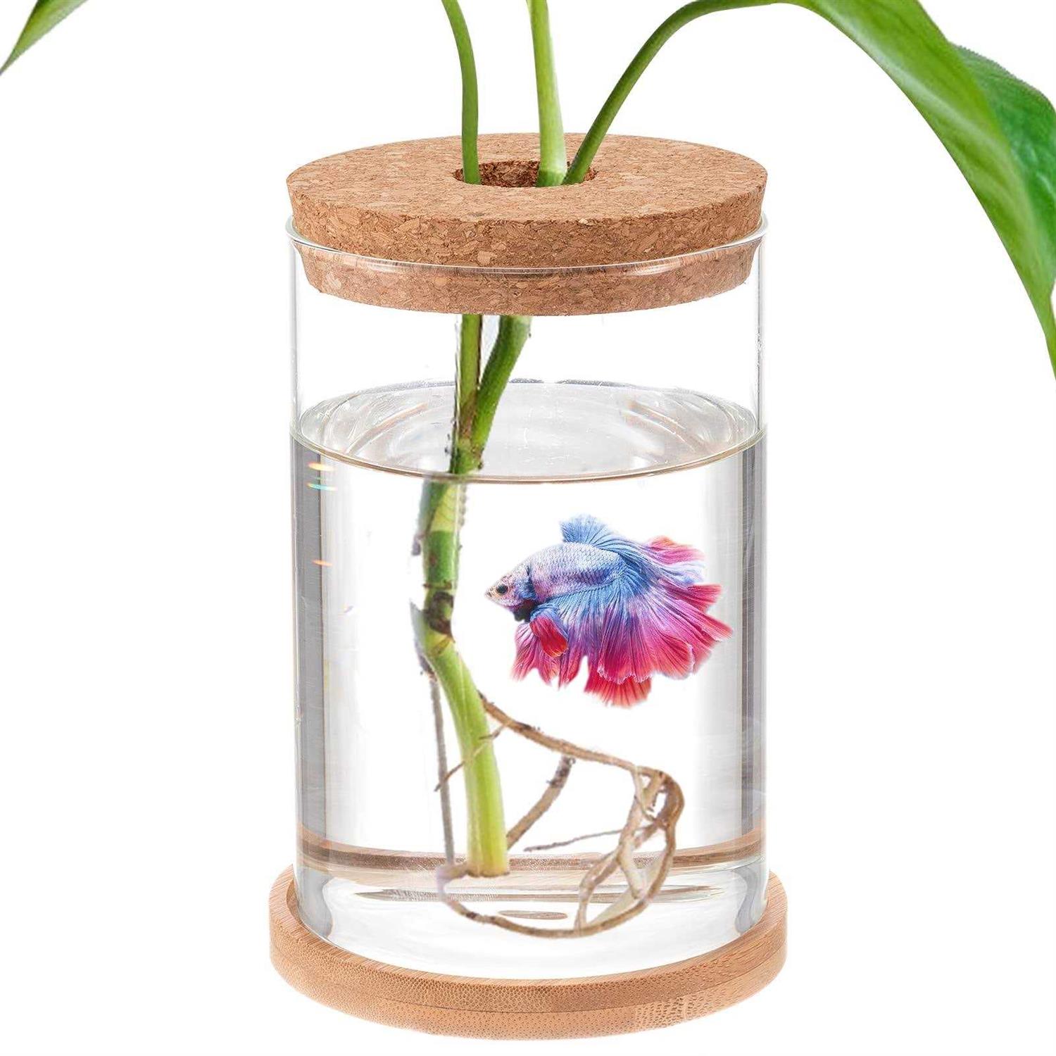 Biggun Betta Fish Tank Mini Fish Bowls for Beta Fish Glass Aquaponic Fish Tank Clear Hydroponic Plant Terrarium for Promoted Ecosphere Aquatic
