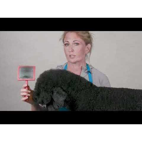 Chris Christensen Big Slicker