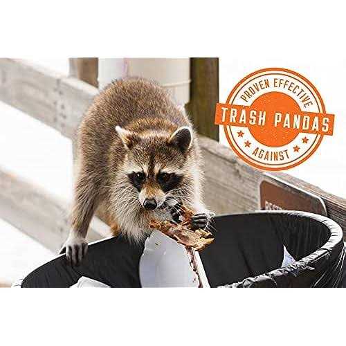 Zone No Holes! Digging Dog Prevention Spray Digging Digging