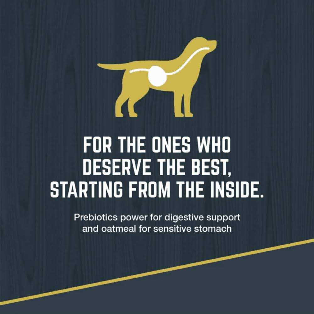 Black Gold Explorer Dog Food Chicken Meal & Brown Rice Formula