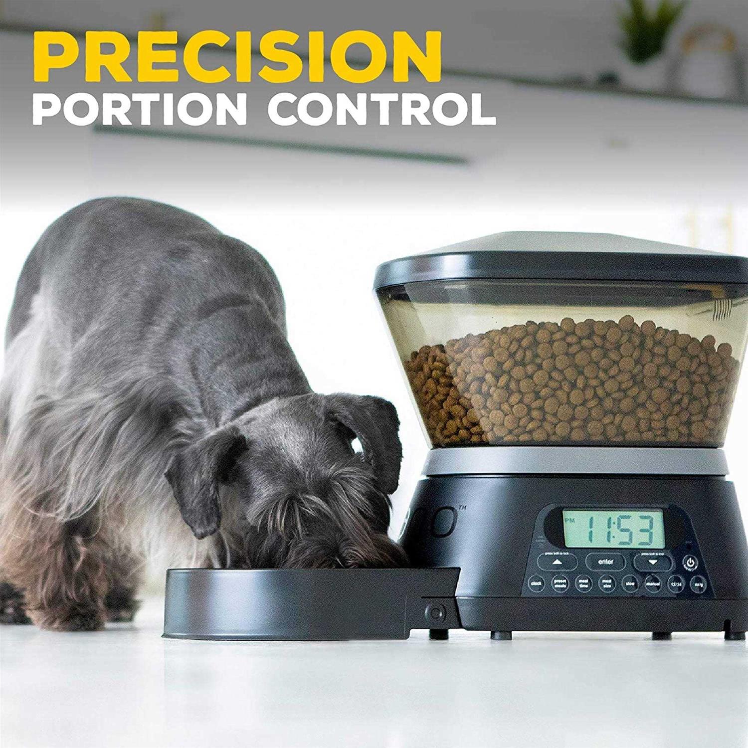 Gamma2 Nano Programable Automatic Pet Feeder