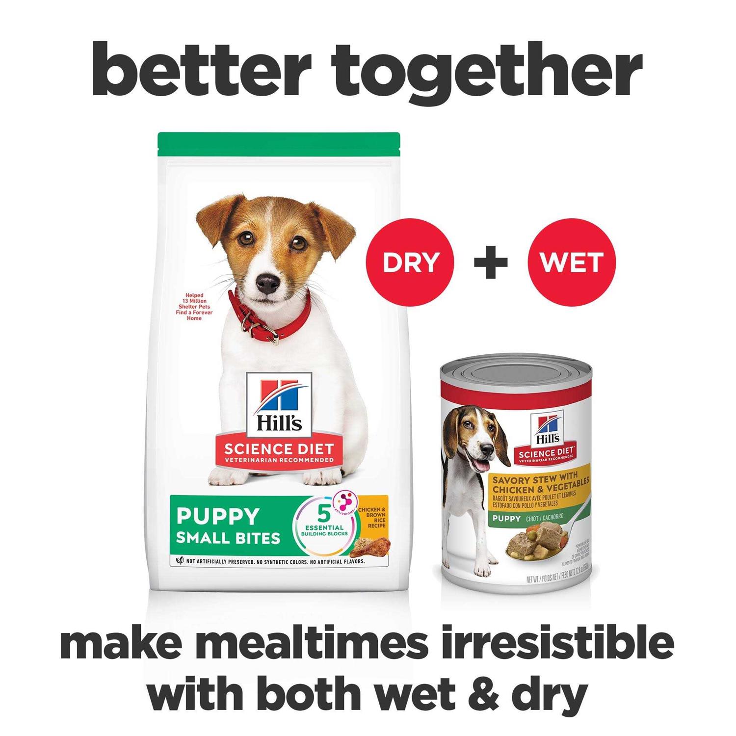 Hill’s Science Diet Puppy Small Bites Chicken Meal & Barley Recipe Dry Dog Food