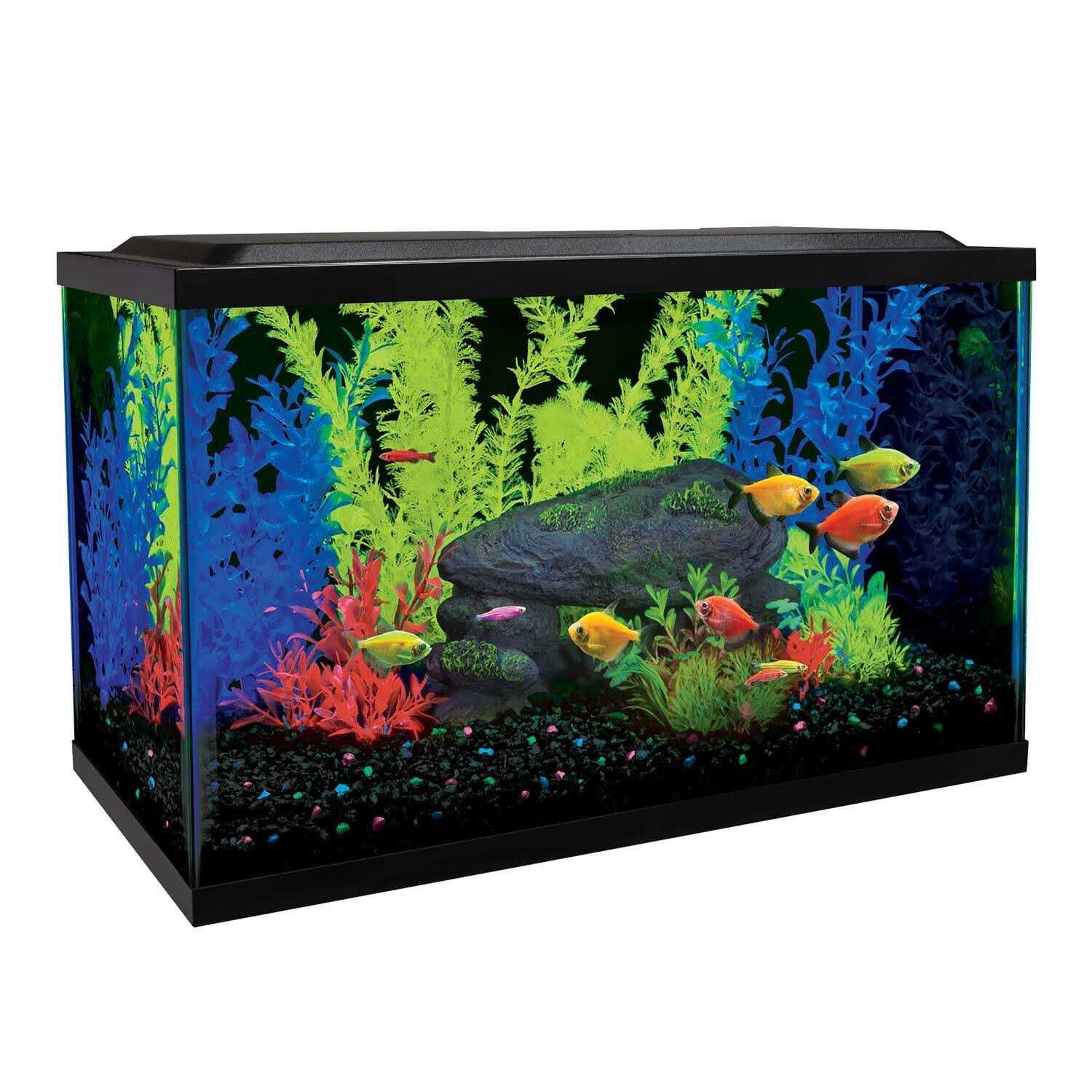 Glofish 10 Gallon Aquarium Kit