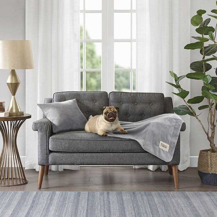 Friends Forever Durable Dog Blanket for Couch Protection