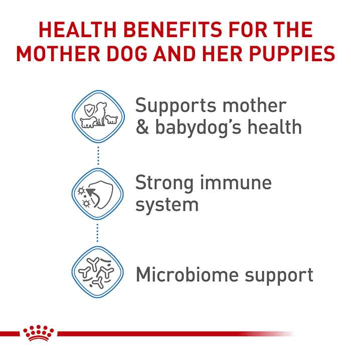 Royal Canin Small Starter Babydog & Mother Dry Dog Food