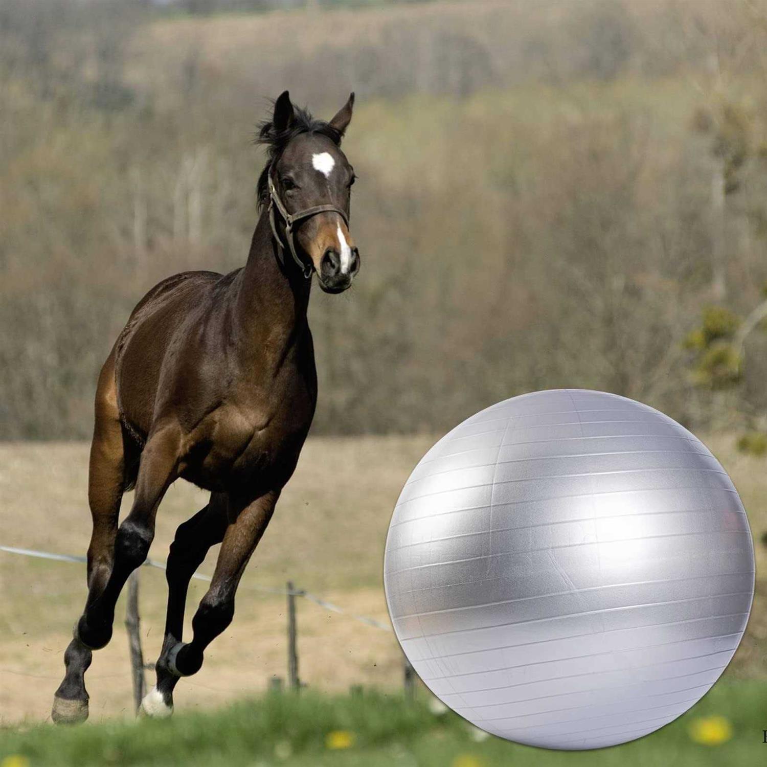 capuca Large Horse Balls for Play 30 Inch Anti-Burst Mega Herding Ball Giant Horse for Dogs Goats Horses to Play with Pump
