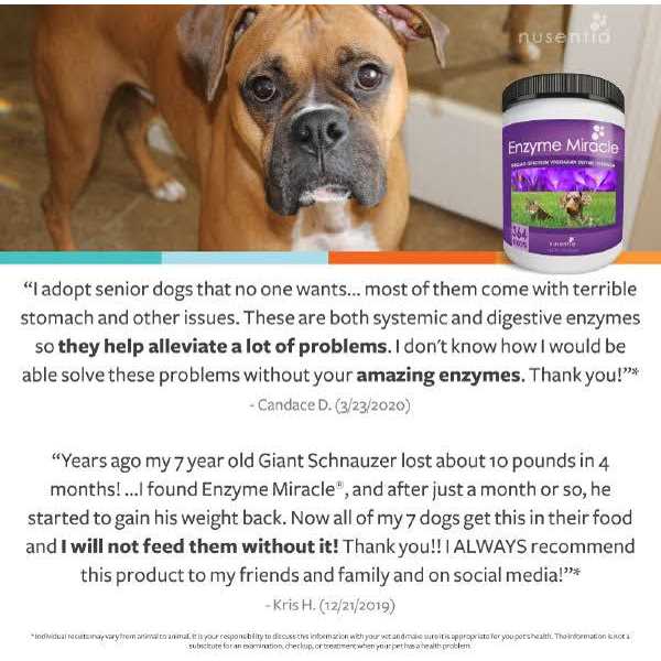 Enzyme Miracle Digestive