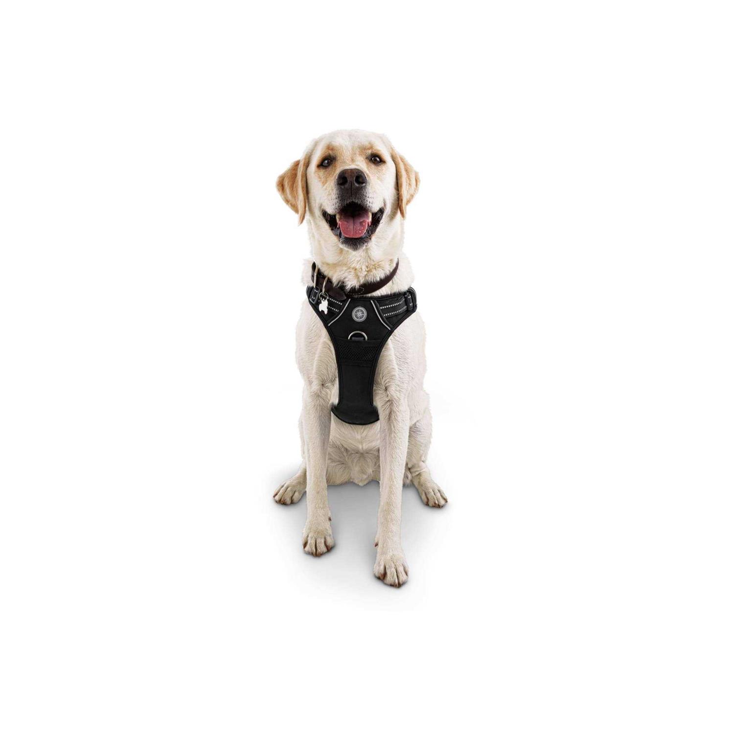 EveryYay Embrace the Pace Black Front Walking Dog Harness