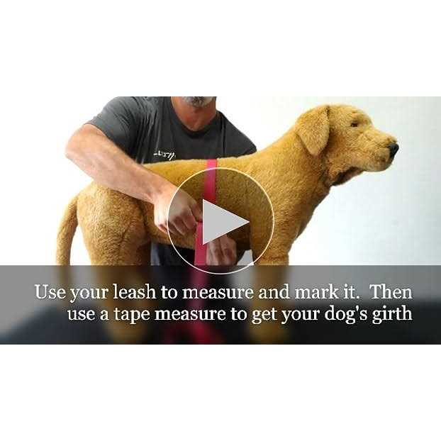 Doggie Stylz Dog Vest Harness Comes with 2 Reflective Removable Patches Please Measure Dog