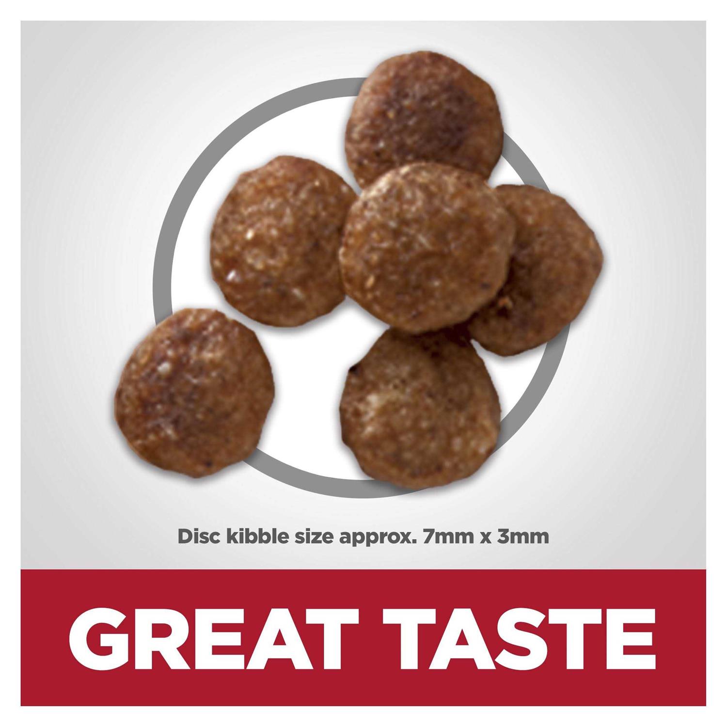 Hill’s Science Diet Adult Sensitive Stomach & Skin Small Bites Dry Dog Food