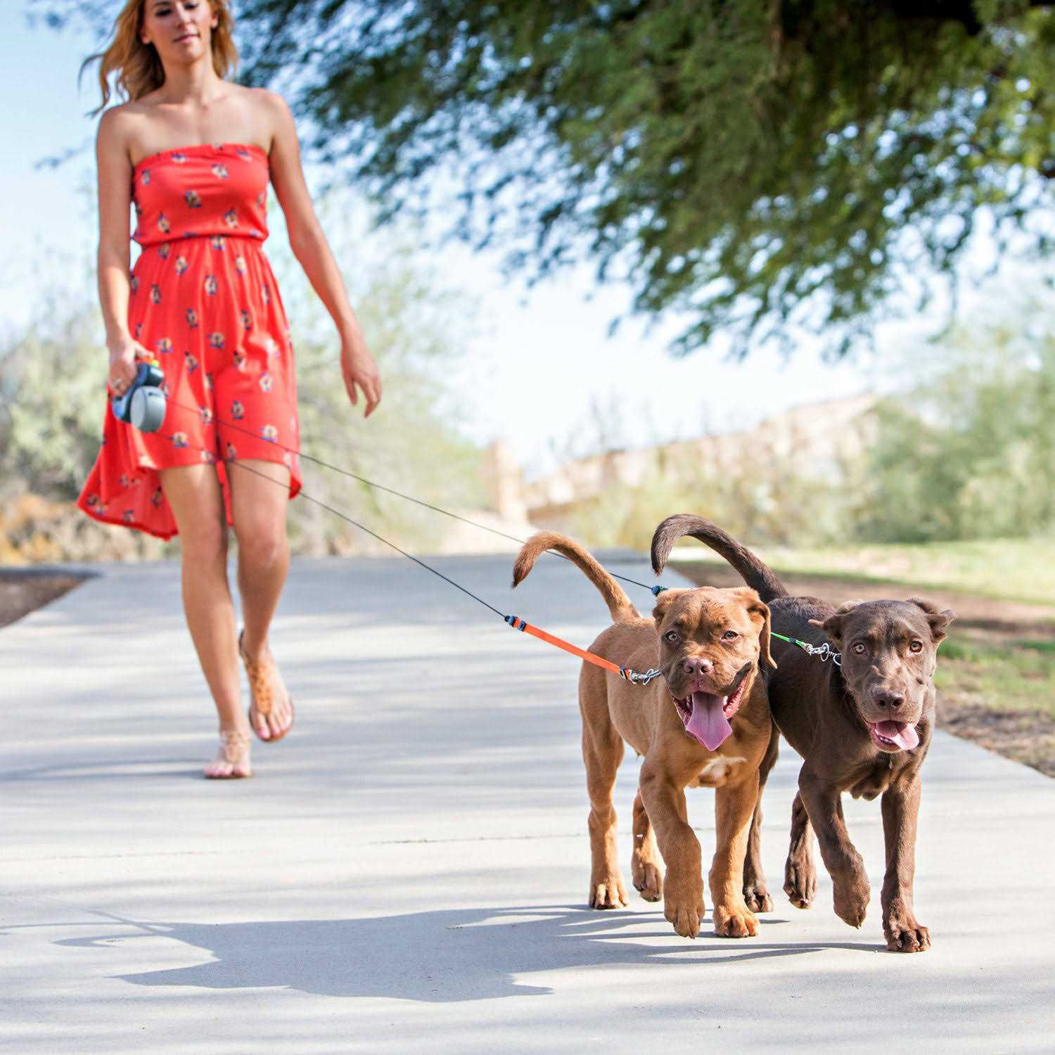 Wigzi Dual Doggie Retractable Leash