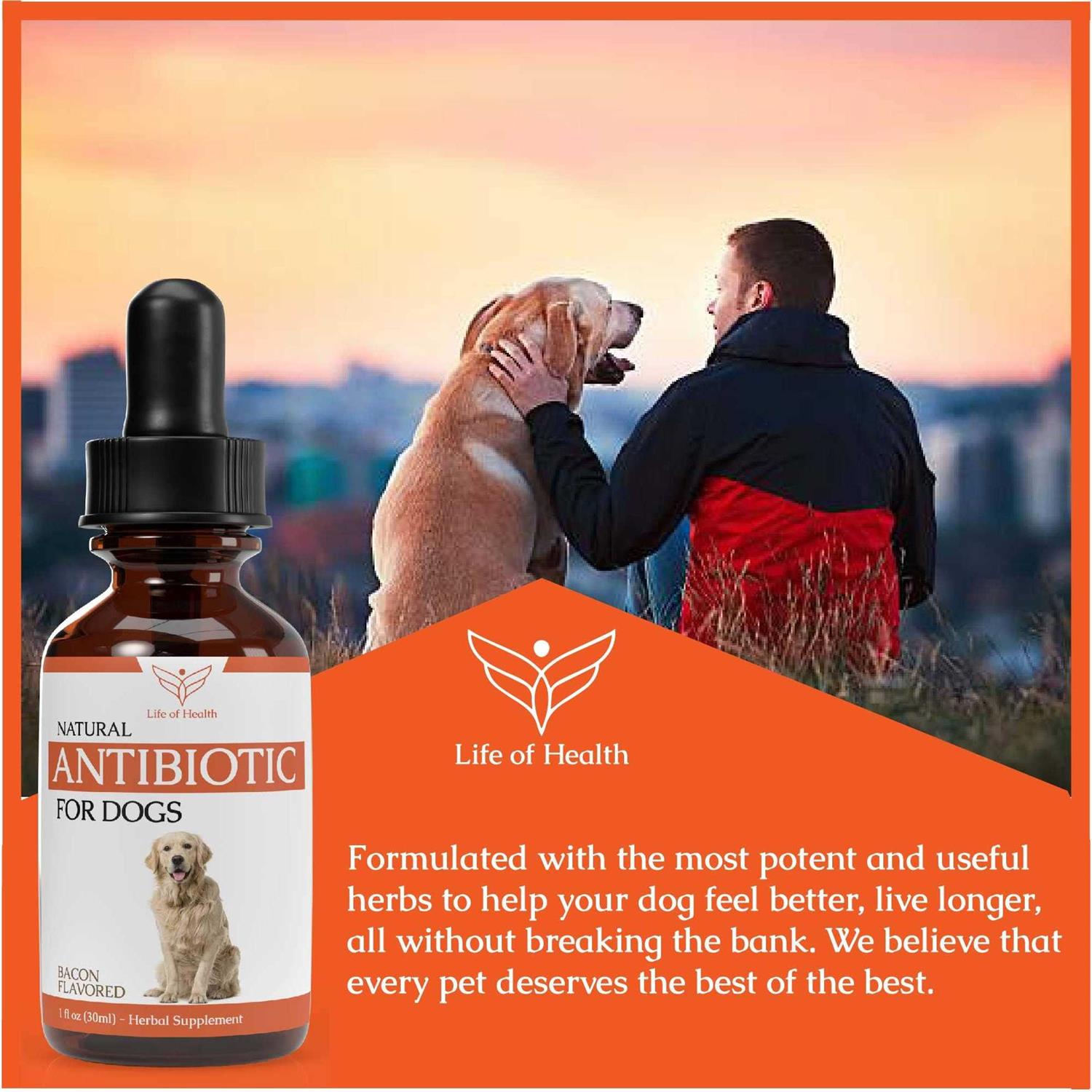 Life of Health Natural Dog Antibiotics Antibiotics for Dogs Helps Support a Healthy Immune System