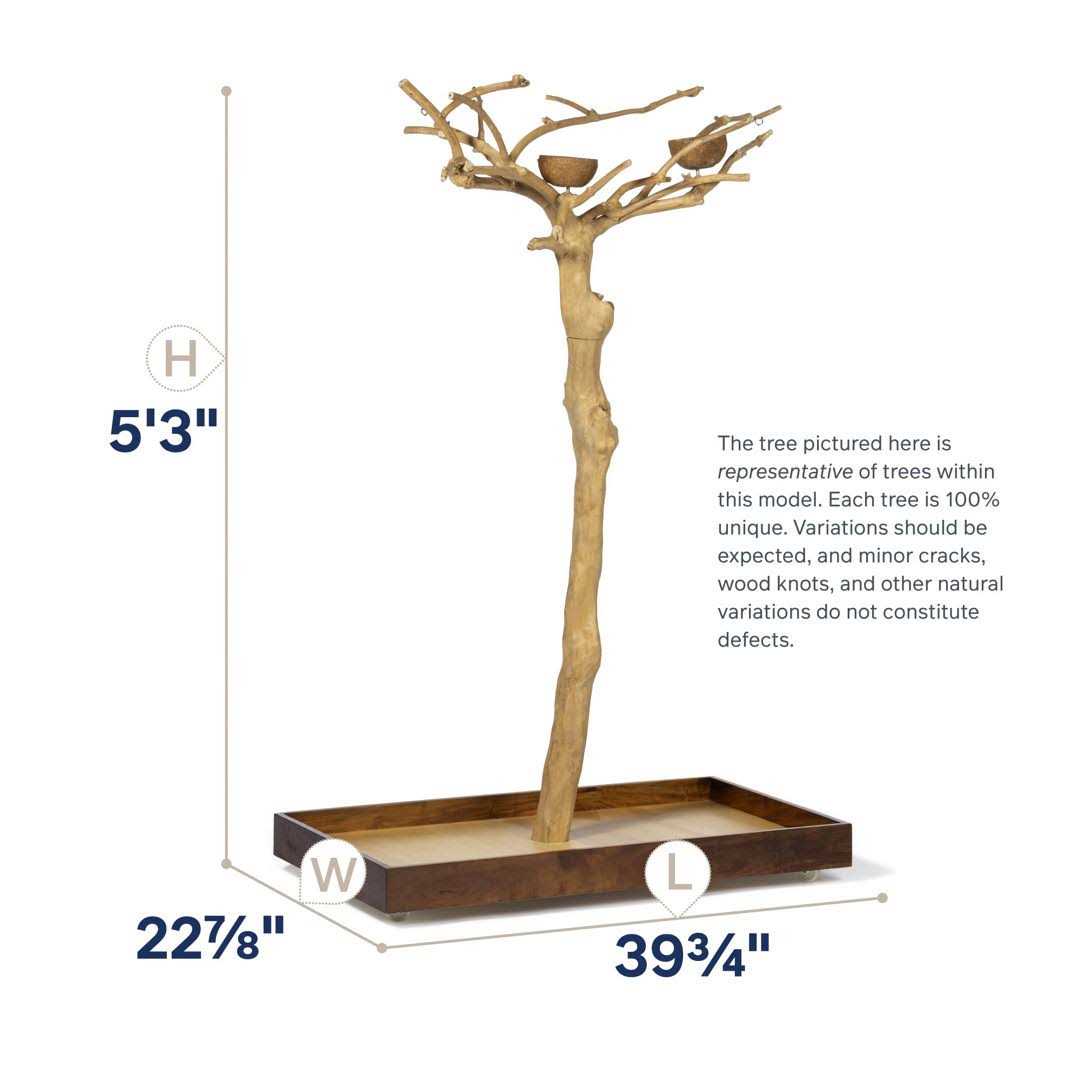 Prevue Pet Products Coffeawood Tree Style #2 Floor Stand Small