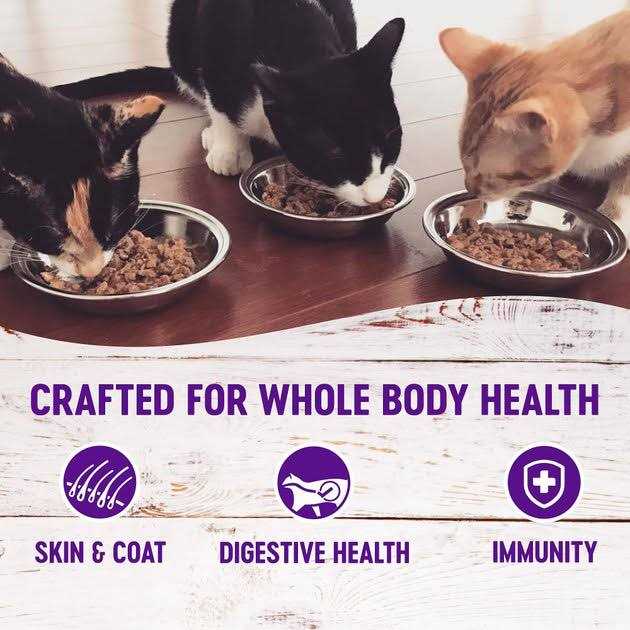 Wellness Healthy Indulgence Natural Grain Free Wet Cat Food Morsels Variety Pack
