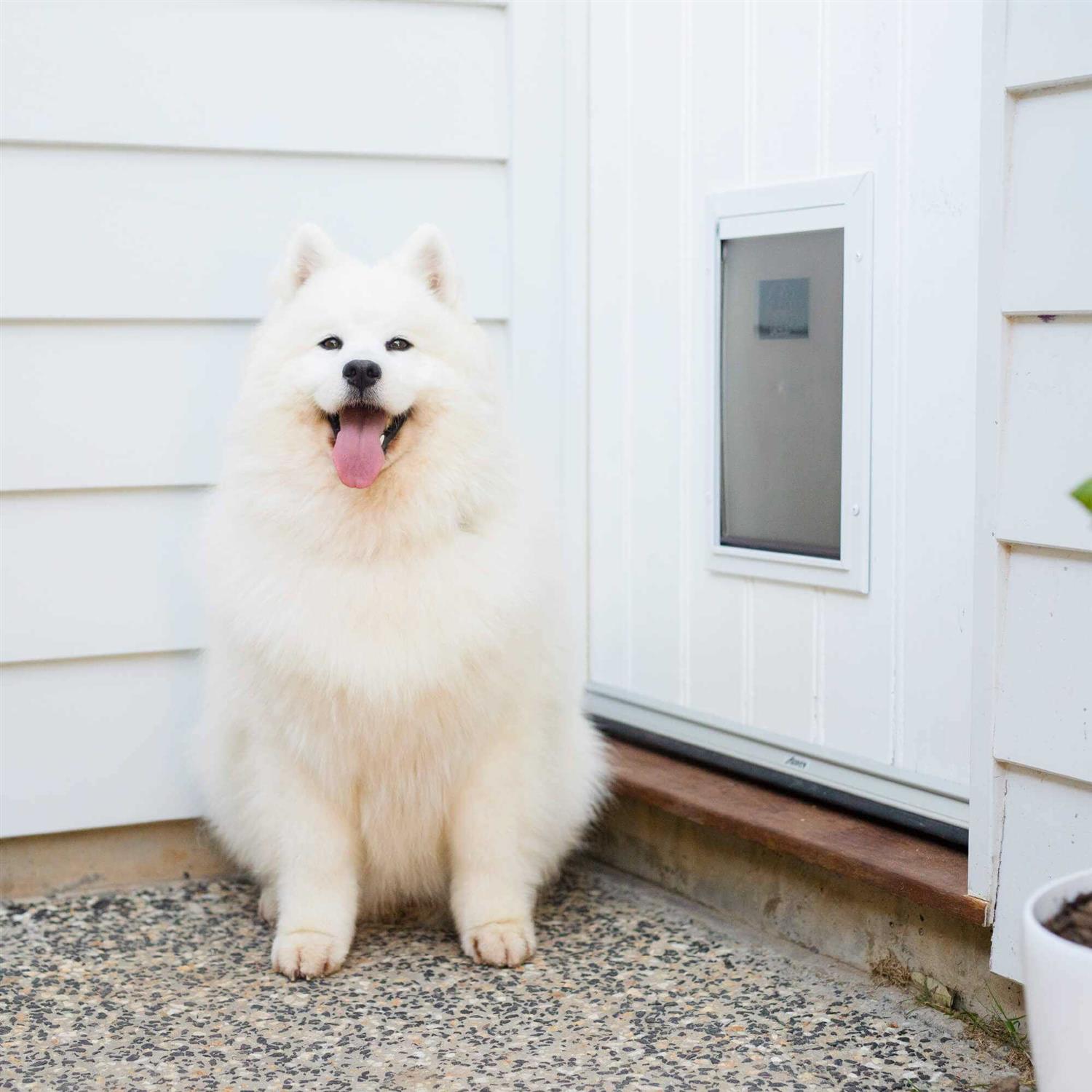 Hakuna Pets Deluxe Aluminum Pet Door