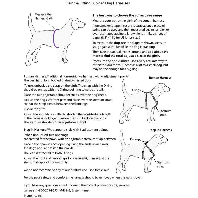 LupinePet Dog Roman Harness