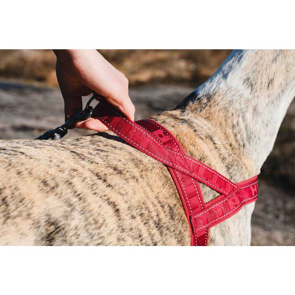 Hurtta Casual Padded Dog Y Harness