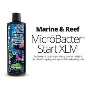 Brightwell Aquatics MicroBacter Start XLM