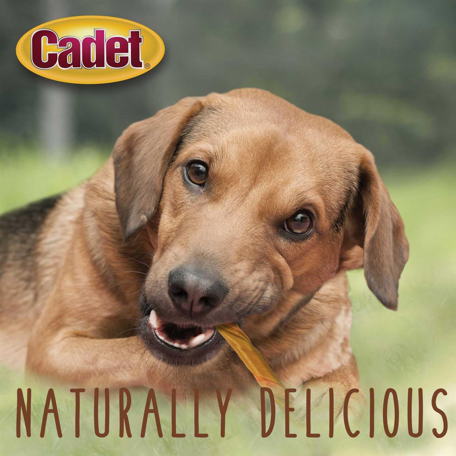 Cadet Choice Chews Peanut Butter Twists Dog Treats