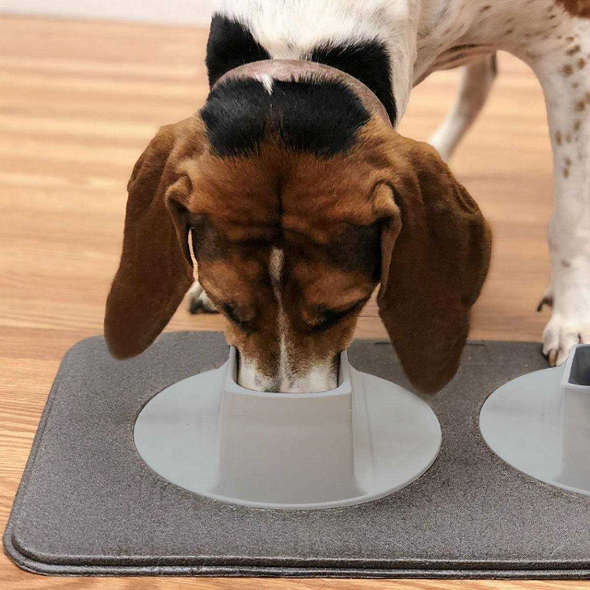 Flipo Ear-Clear Pet Feeding Station