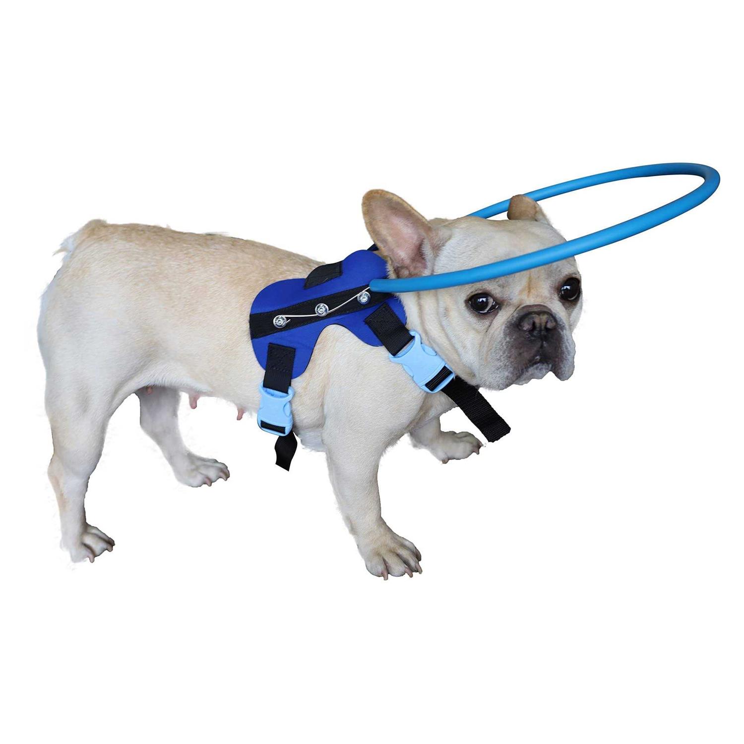 HQSLC Blind Dog Harness Guiding Device,Blind Dog Halo,Pet Anti-Collision Ring for Protective&Build Confidence,Blind Dog Accessories