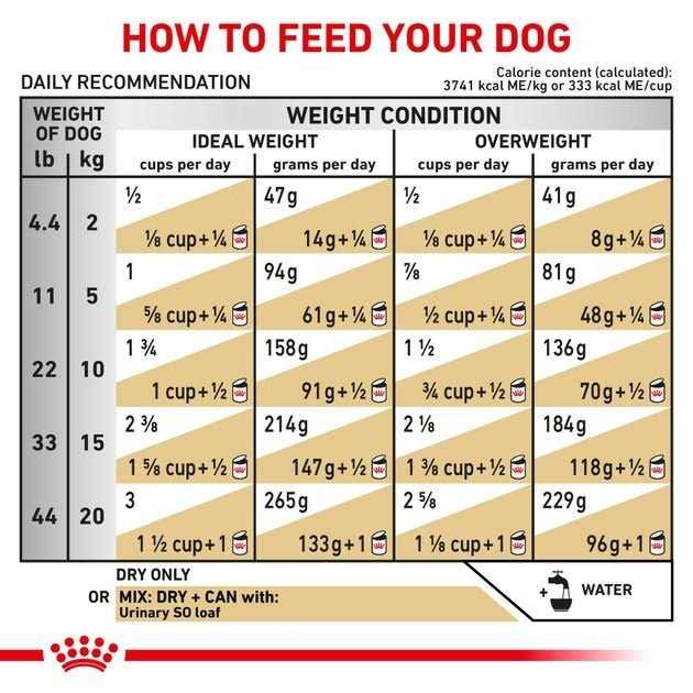 Royal Canin Veterinary Diet Canine Urinary SO Dry Dog Food