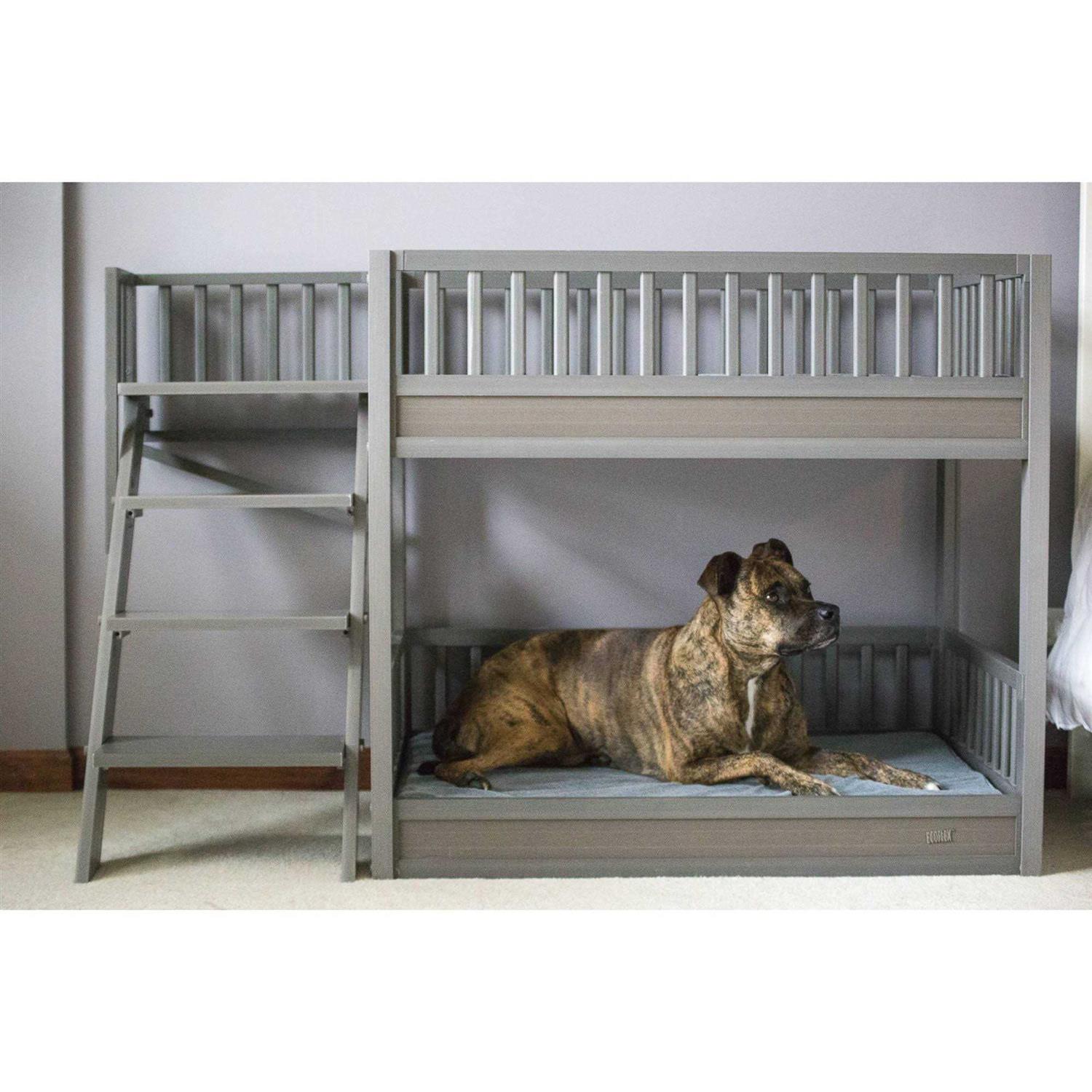 ECOFLEX Dog Bunk Bed with Removable Cushions New Age Pet