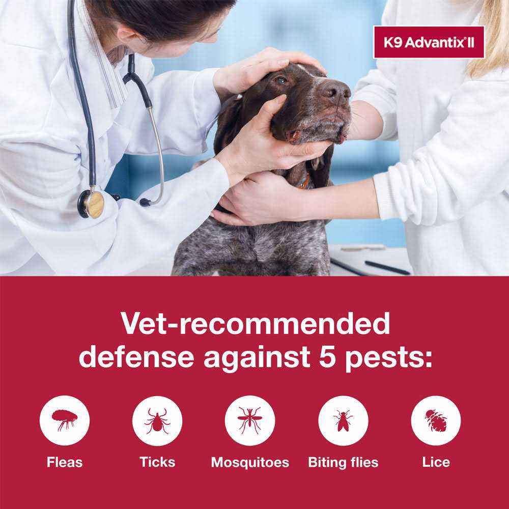 Bayer K9 Advantix II for Extra Large Dogs