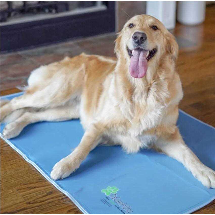 Green Pet Shop Cool Pet Pad