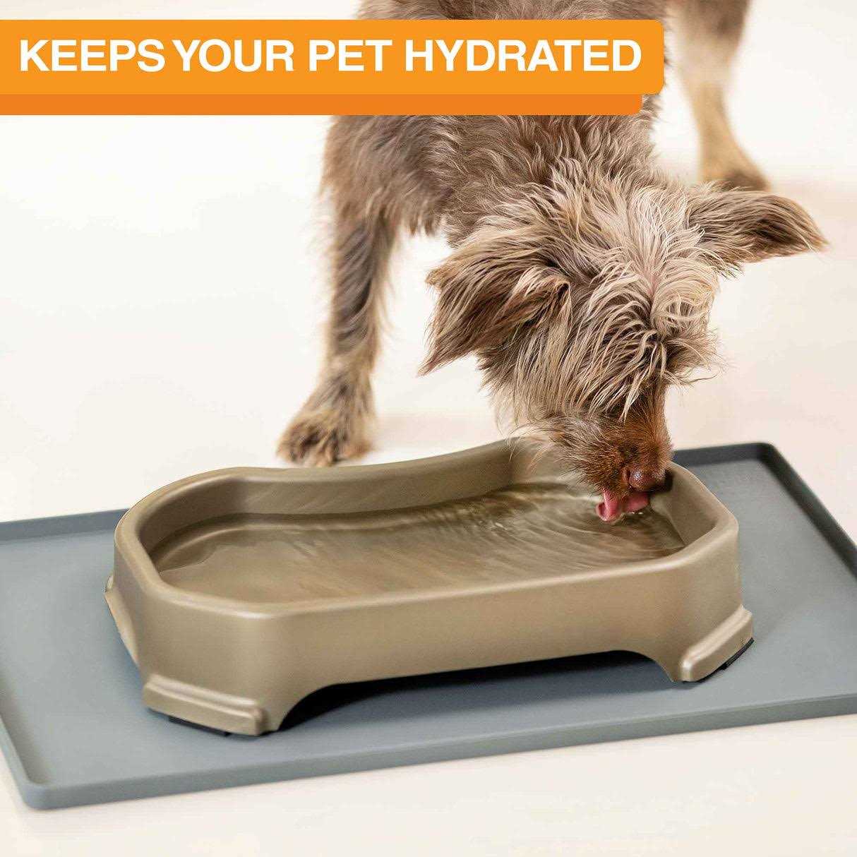 Neater Pet Brands Bowl with Leg Extensions Huge Jumbo Trough Style Dog Pet Water Dish