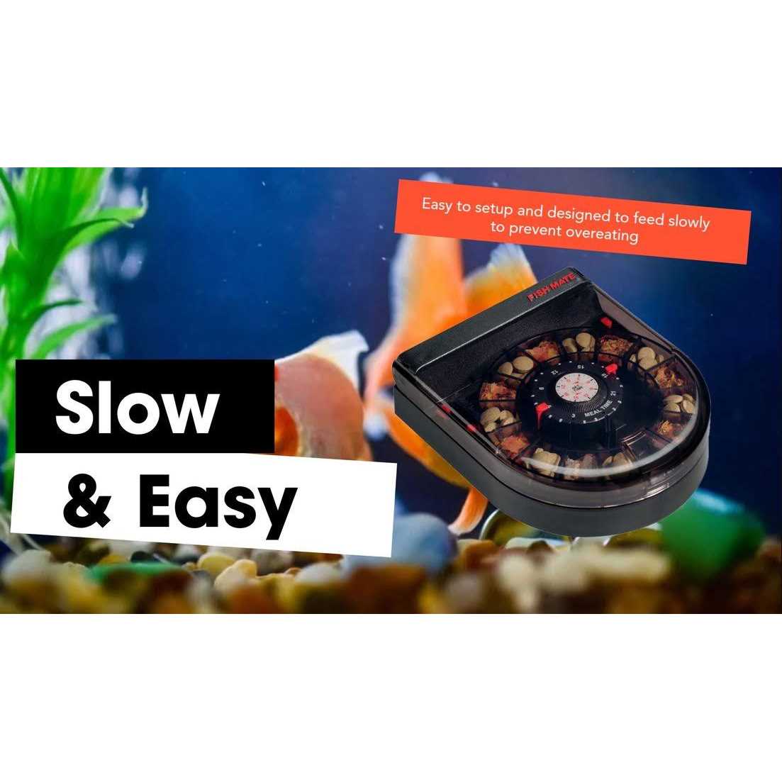 Fish Mate F14 Automatic Aquarium Fish Feeder