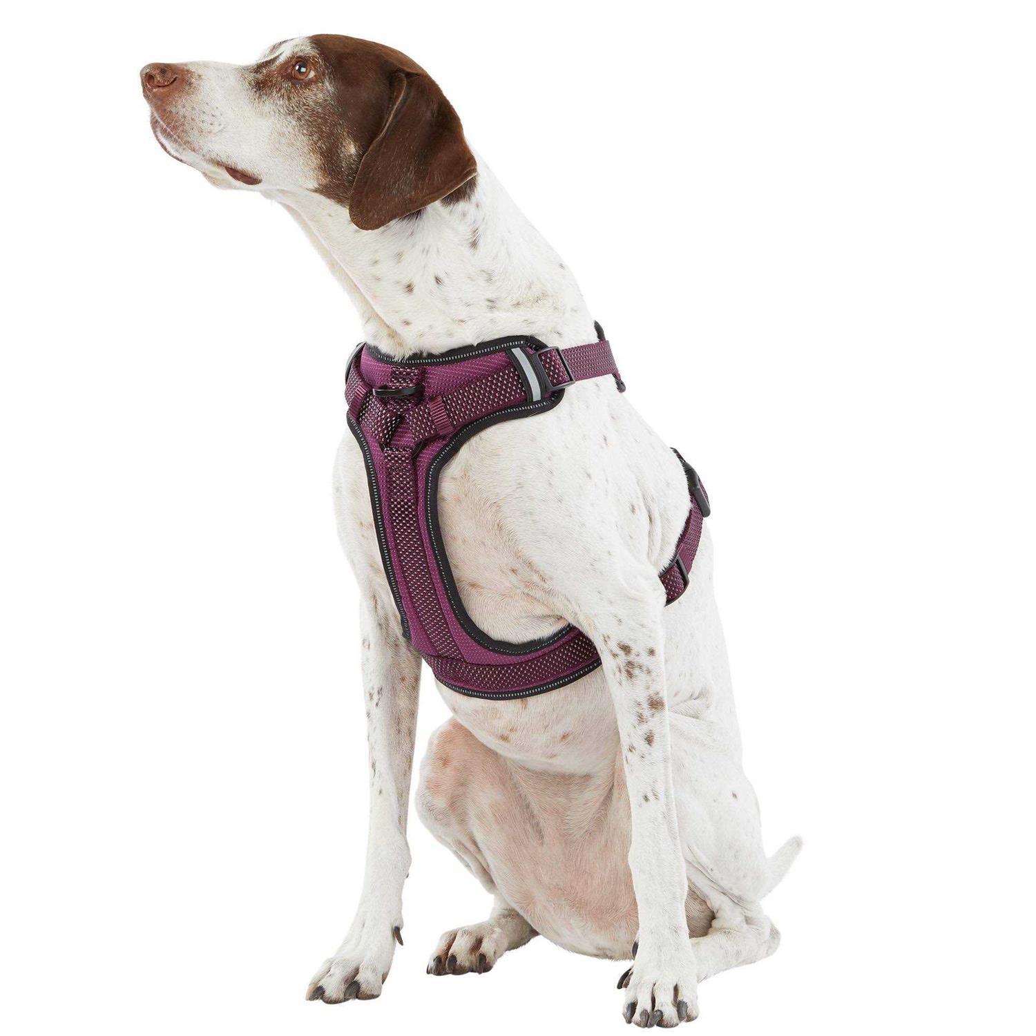 Top Paw Ultra-Reflective Dog Harness