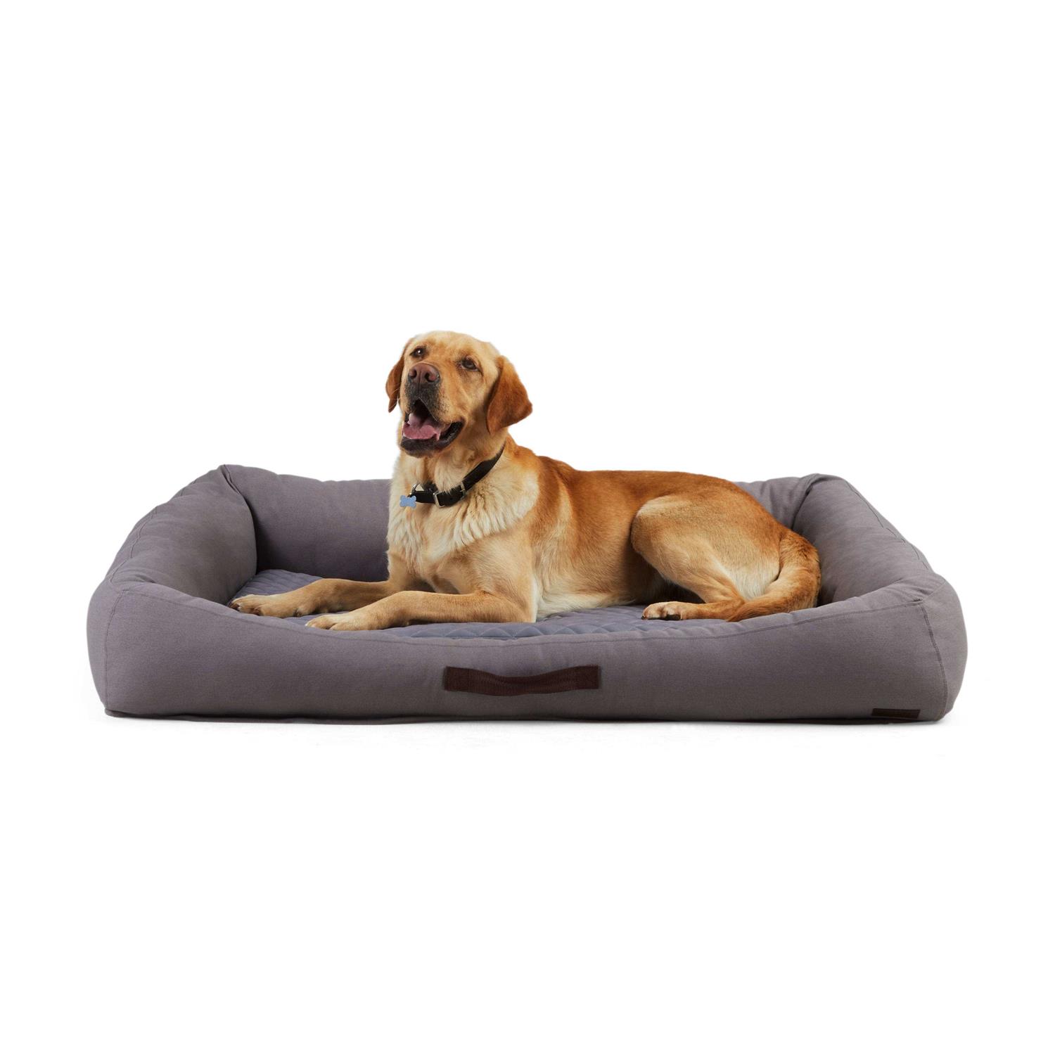 Reddy Seasonless Dog Bed