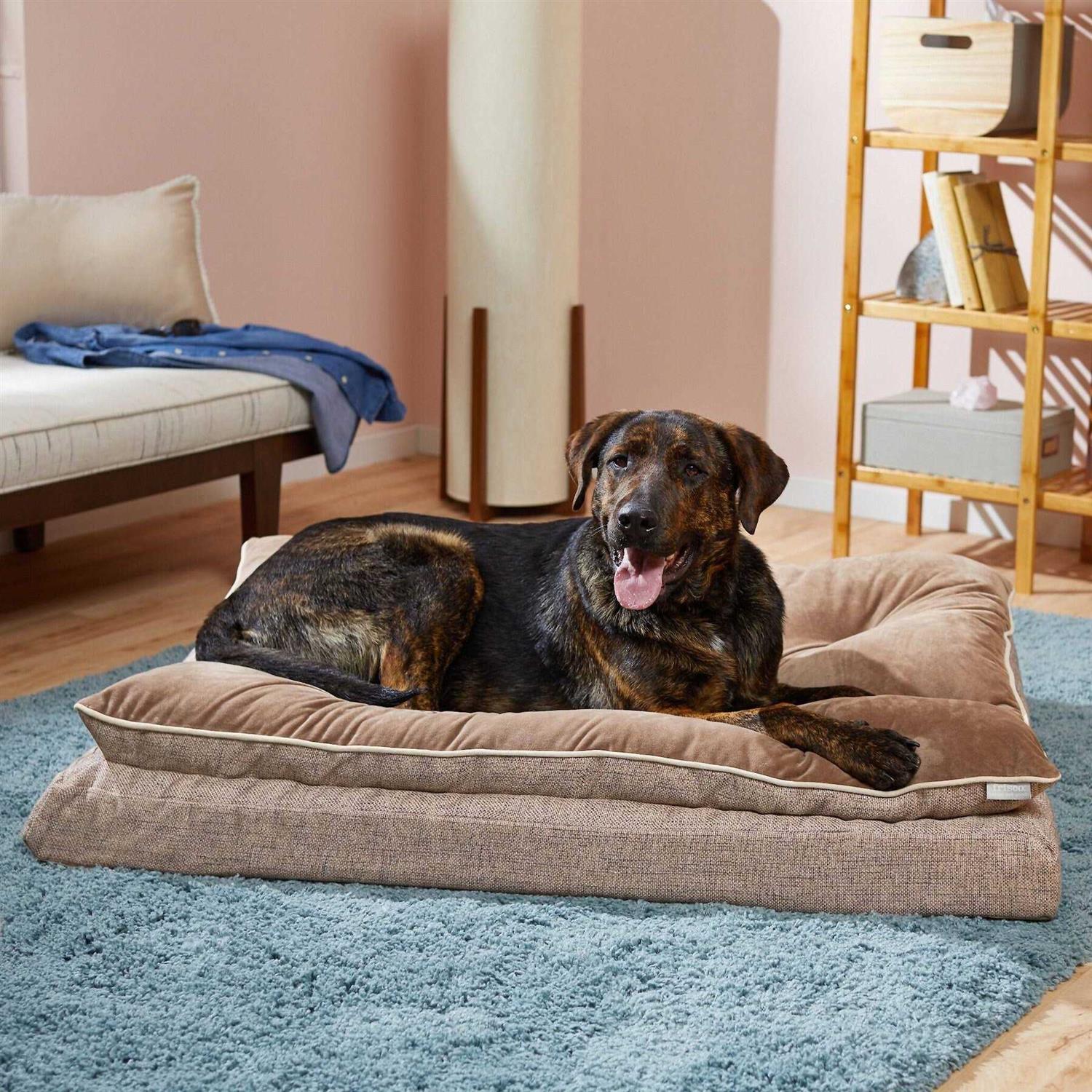 Frisco Plush Orthopedic Pillowtop Dog Bed w/Removable COVER