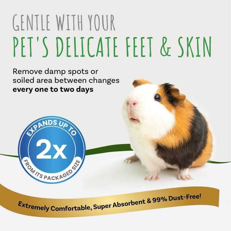 Small Pet Select Aspen Bedding