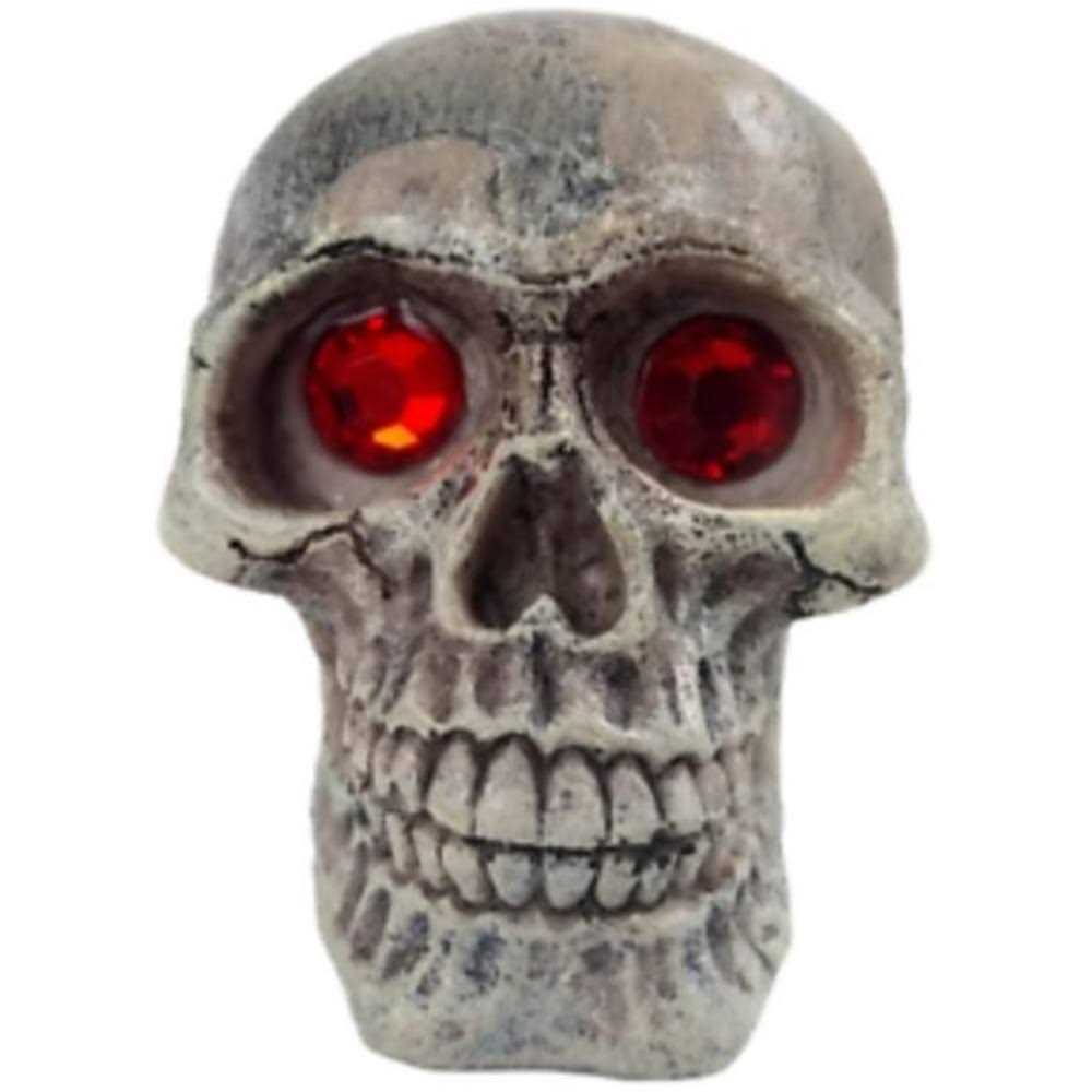 Penn Plax Deco-Replicas Skull Gazer Ornament Assorted Styles