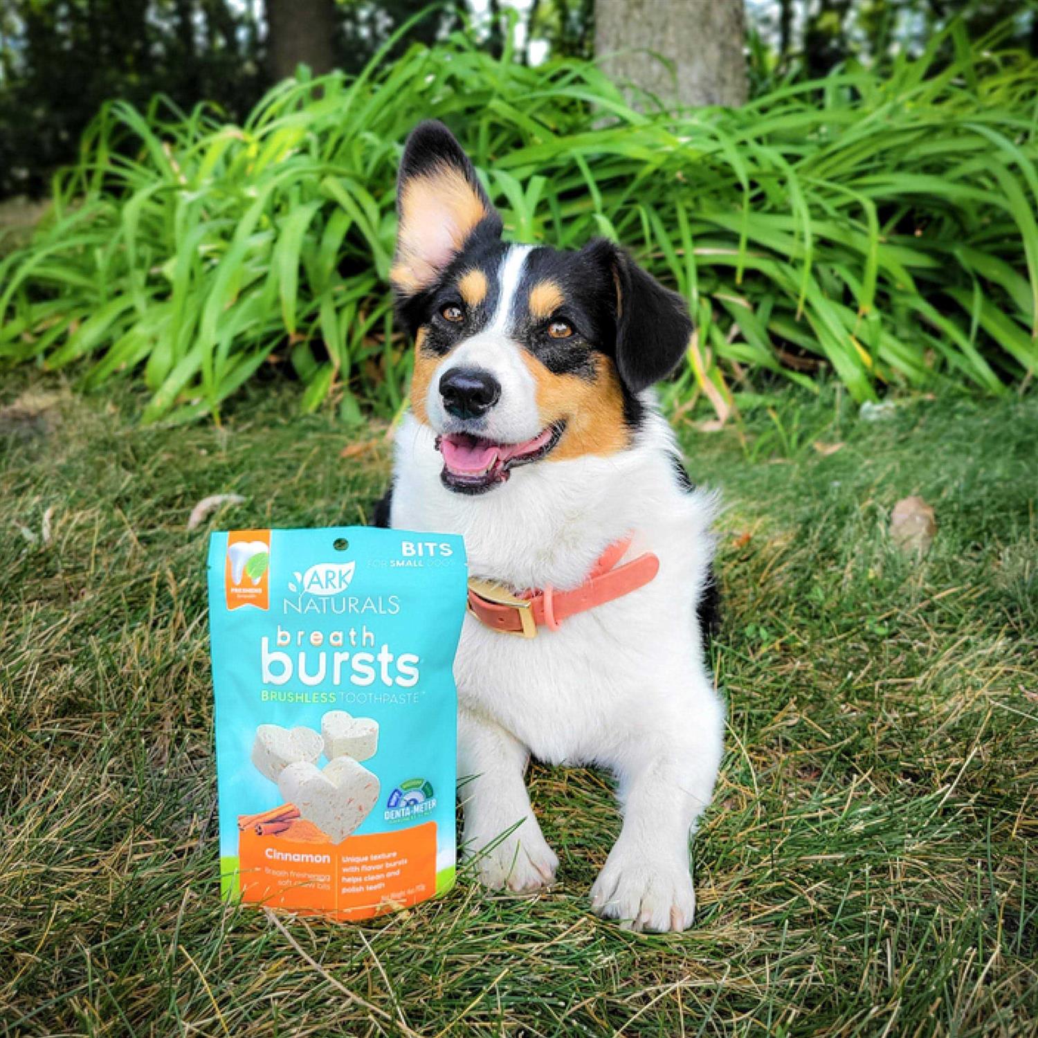 Ark Naturals Breath Bursts Bits Dental Dog Treats