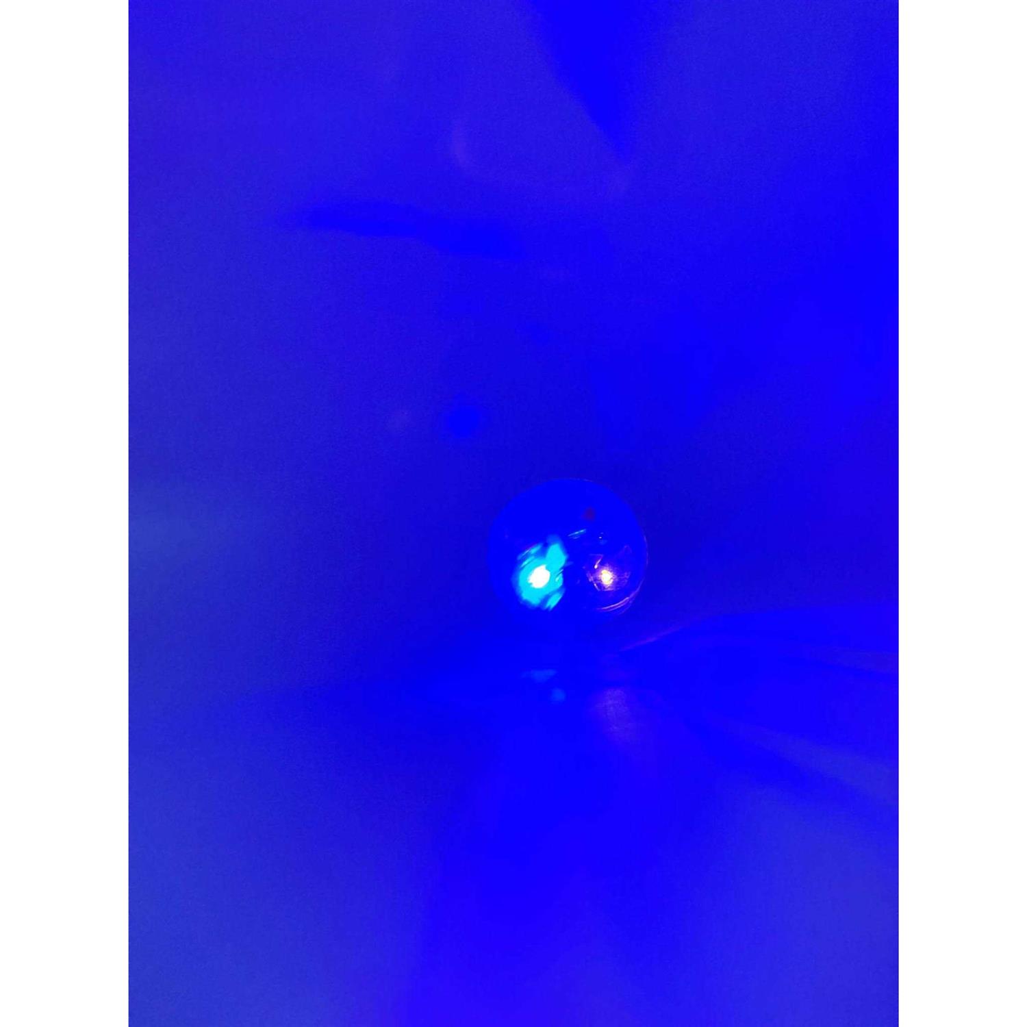 Spot LED Motion Activated Cat Ball