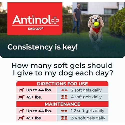 Antinol Plus, Mobility, Hip, and Joint Supplement for Dogs, Green-Lipped Mussels and Krill Oil