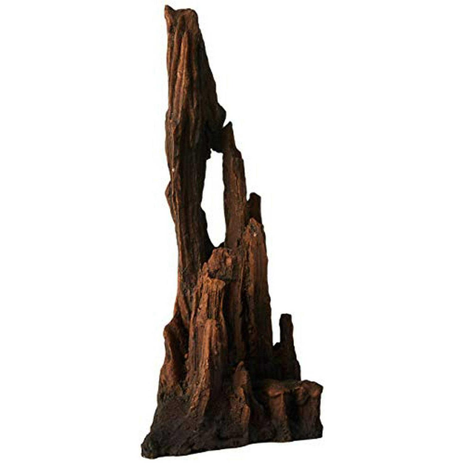 Underwater Treasures Petrified Wood