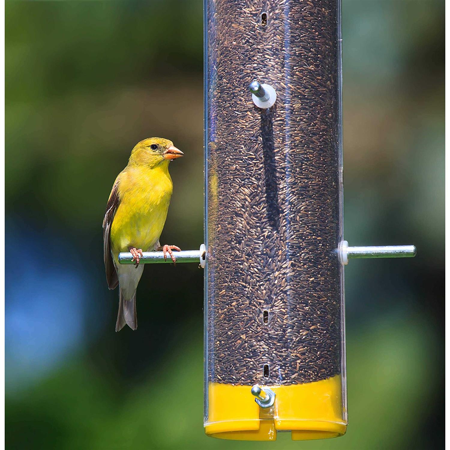 Wagner’s Nyjer Seed Wild Bird Food
