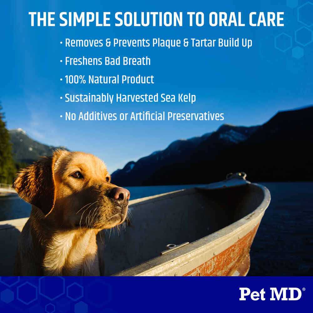 Pet Md Proden Plaqueoff Powder Dog Supplement For Healthy Teeth And Gums 60g